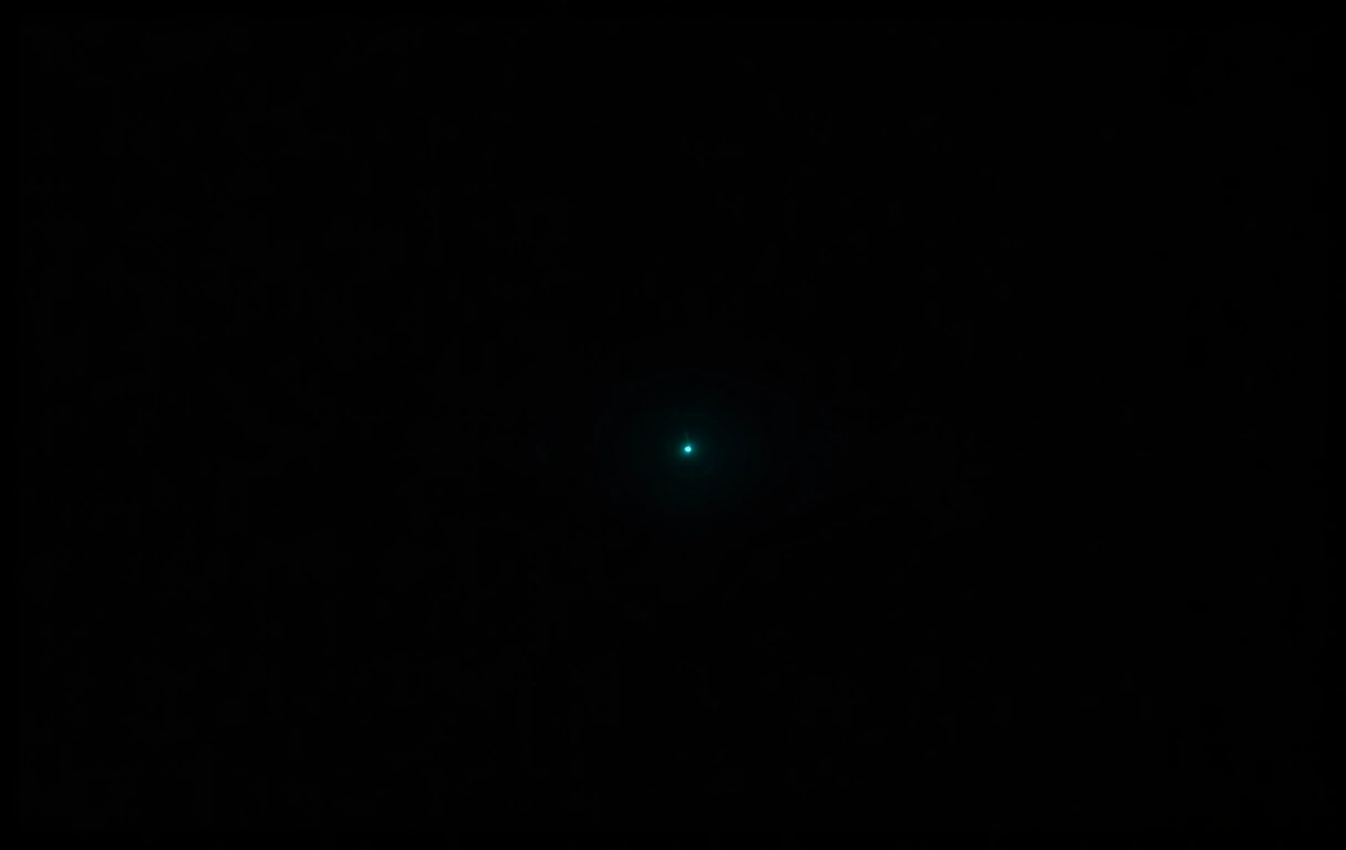 Digital data streams